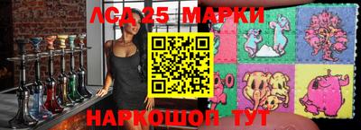 гидропоника Донской