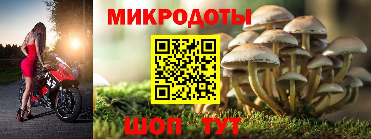 Северобайкальск  что такое   Вход с VPN  Галлюциногенные грибы MAGIC MUSHROOMS 