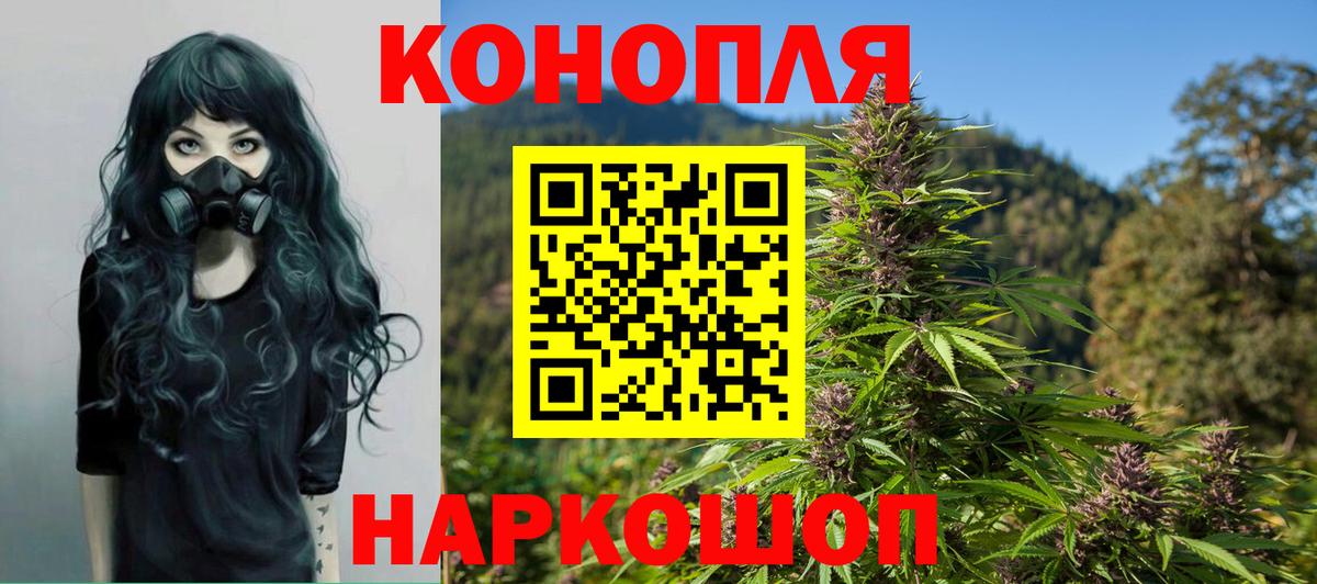 Канабис сатива Северобайкальск